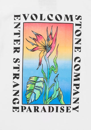 Volcom Men's Strange Paradise Short Sleeves T-Shirt White Size Medium
