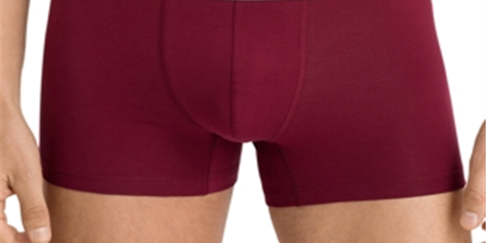 Hanro Men's Essentials Cotton Stretch Boxer Briefs Pack of 2 Red Size Large