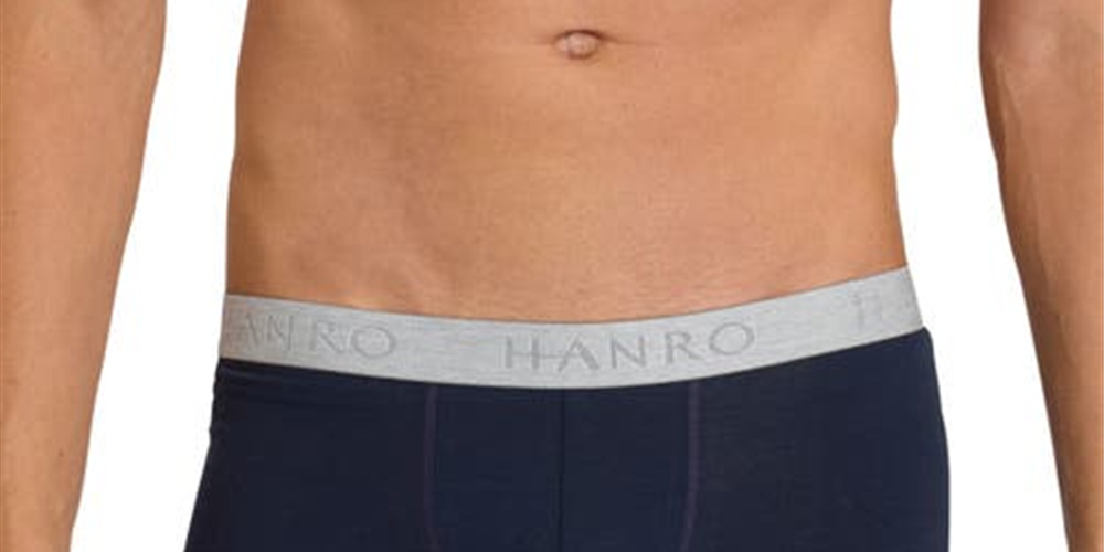 Hanro Men's Cotton Essentials 2 Pack Boxer Briefs Blue Size Medium