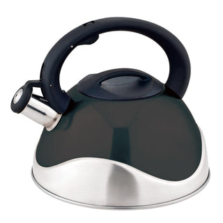 Stainless Steel Whistling Tea Kettle, 3.0-Quart