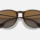 Ray Ban - Erika Classic Polarized Sunglasses Rb4171 - 710 - T5