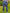 judy-blue-completely-committed-boyfriend-jeans