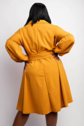 The Curve La - Plus Size Button Front Fit And Flare Dress With Pockets