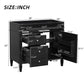 Bathroom Vanity With 2 Drawers and Tip-Out Drawer Storage Cabinet