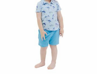 Angel Dear - Boy's Polo Short Sleeve Shirt & Casual Short Set