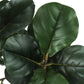 47" Tall Artificial Fiddle Tree Plant