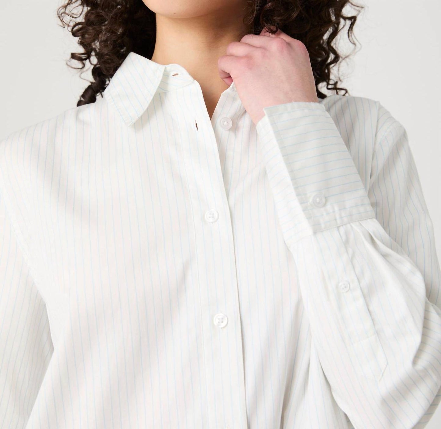 French Connection - Pinstripe Poplin Button Down
