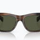 Oliver Peoples - Ms. Oliver Non Polarized Sunglasses Ov5542su 172452