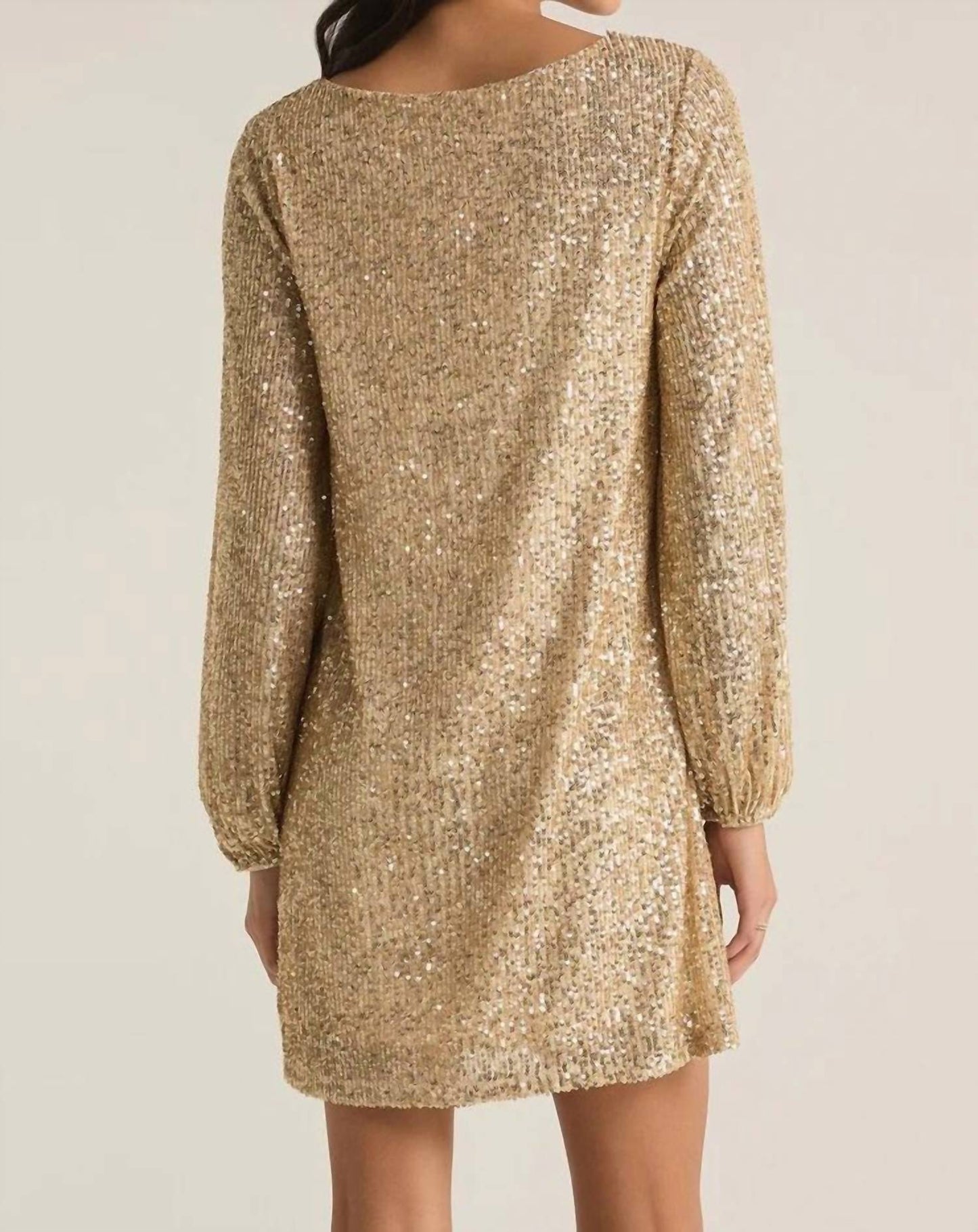 Z Supply - Andromeda Sequin Dress
