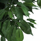 58" Tall Artificial Ficus Tree Indoor Faux Plant