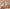 free-people-flora-crochet-mini-skirt-1
