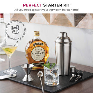 7-Piece Stainless Steel Cocktail Shaker Set