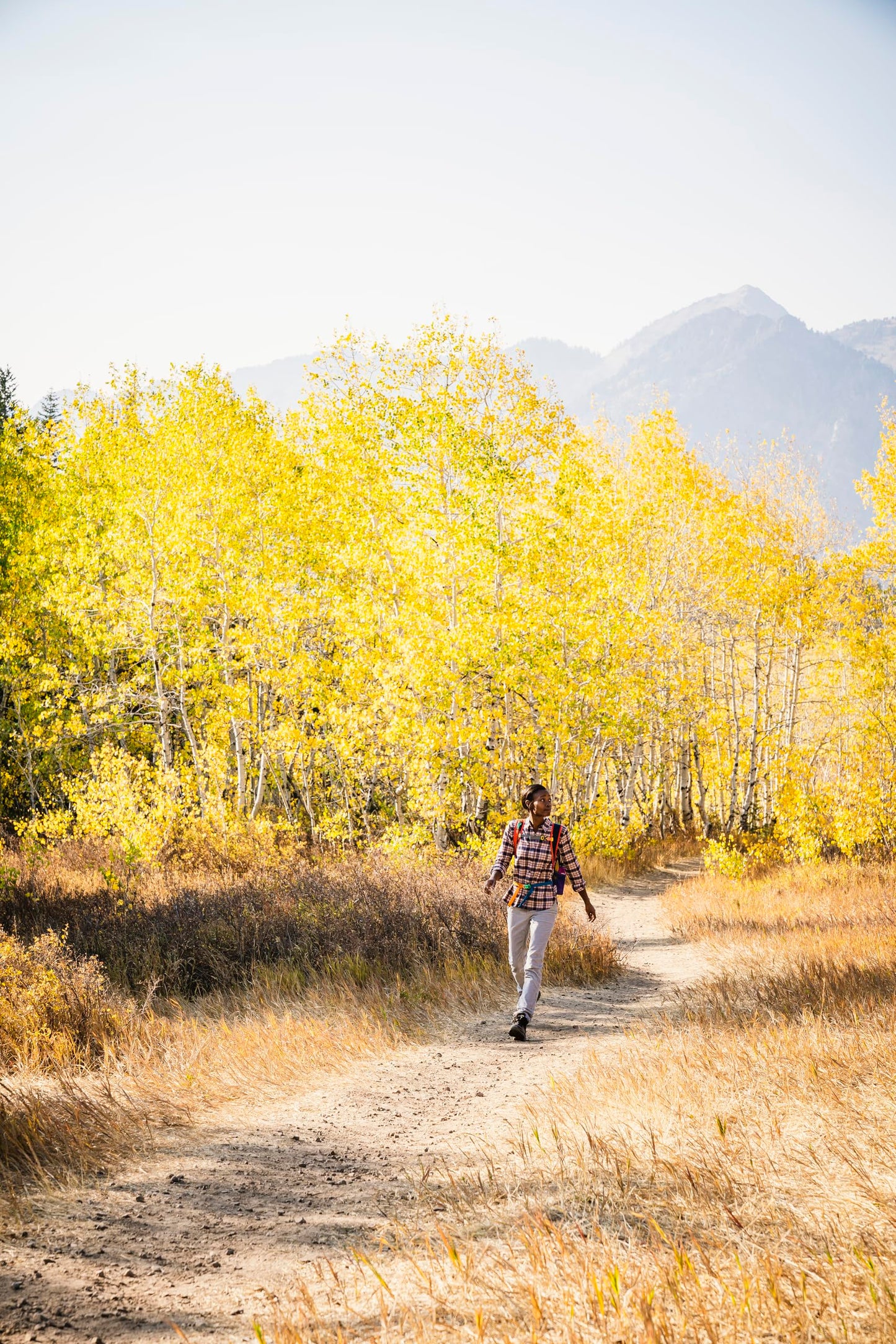 SCARPA Women's Terra GTX Waterproof Hiking Boots