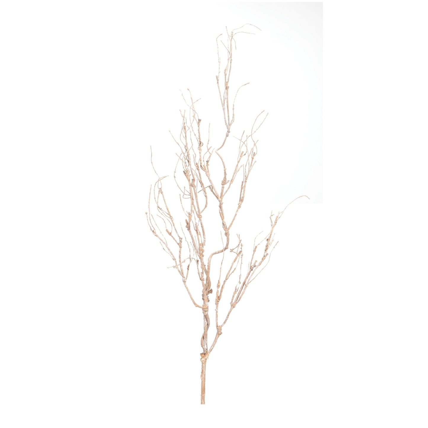 Beige twig branch (set of 6)