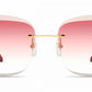 Cartier - Piccadilly Non Polarized Sunglasses Ct0007rs - 001