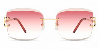 Cartier - Piccadilly Non Polarized Sunglasses Ct0007rs - 001