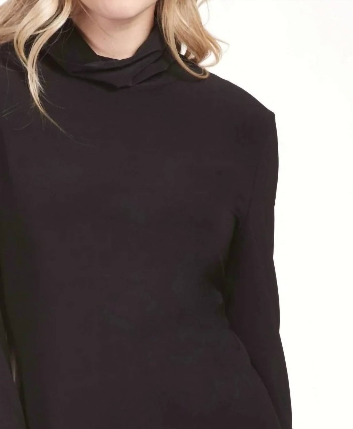 Frank Lyman - Turtleneck Knit Top