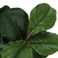 32" Tall Artificial Fiddle Tree Indoor Faux Plant