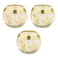 Frosted Juniper Scented Soy Candle with Pressed Leaf Lid (Set of 3)