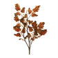 Fall oak leaf spray (set of 6)