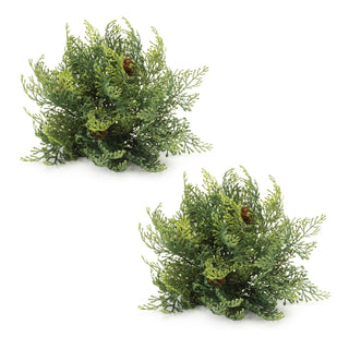 Cedar Pinecone Half Ord (Set of 2)