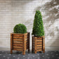 Natural Mango Wood Box Planter (Set of 2)
