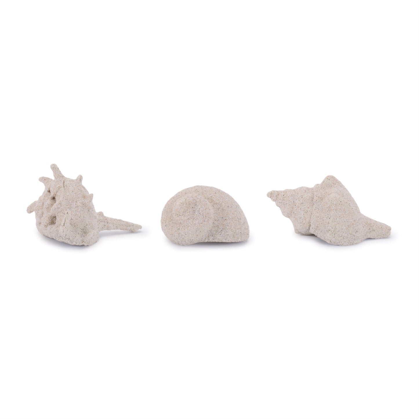 Sea shell filler décor (set of 12)