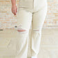 Judy Blue - High Rise Distressed Straight Jeans - Plus