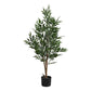 47" Tall Artificial Acacia Tree