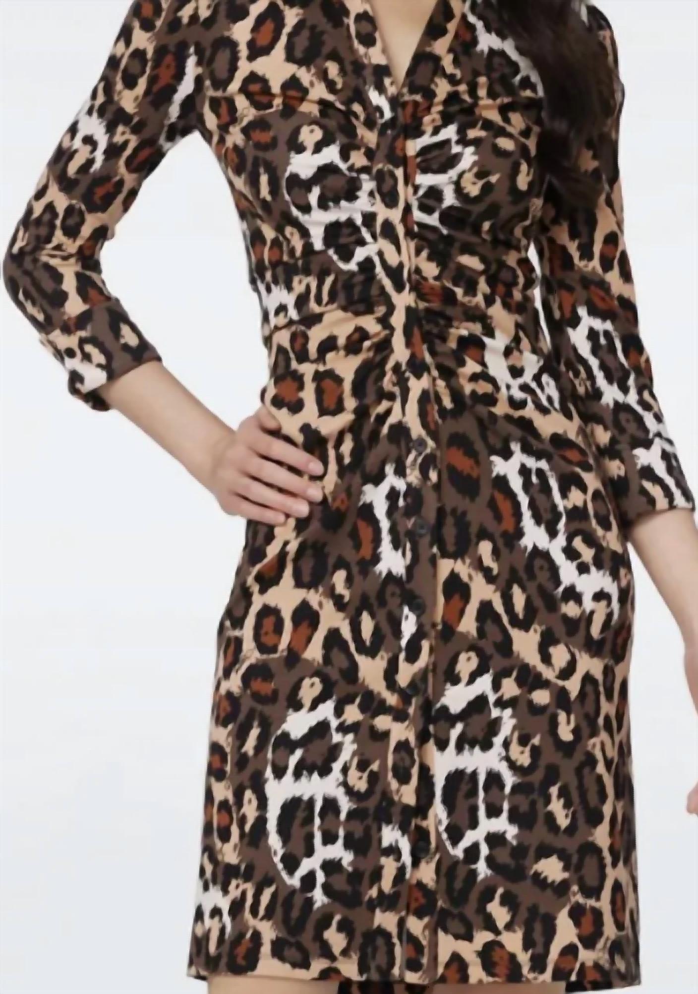 Diane Von Furstenberg - Women's The Sheska Dress In Leo Print