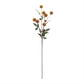 Thistle Pod Branch (Set of 6)