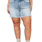 Judy Blue - High Rise Cutoff Dad Shorts