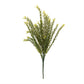 Baby Tears Foliage Bush (Set of 6)