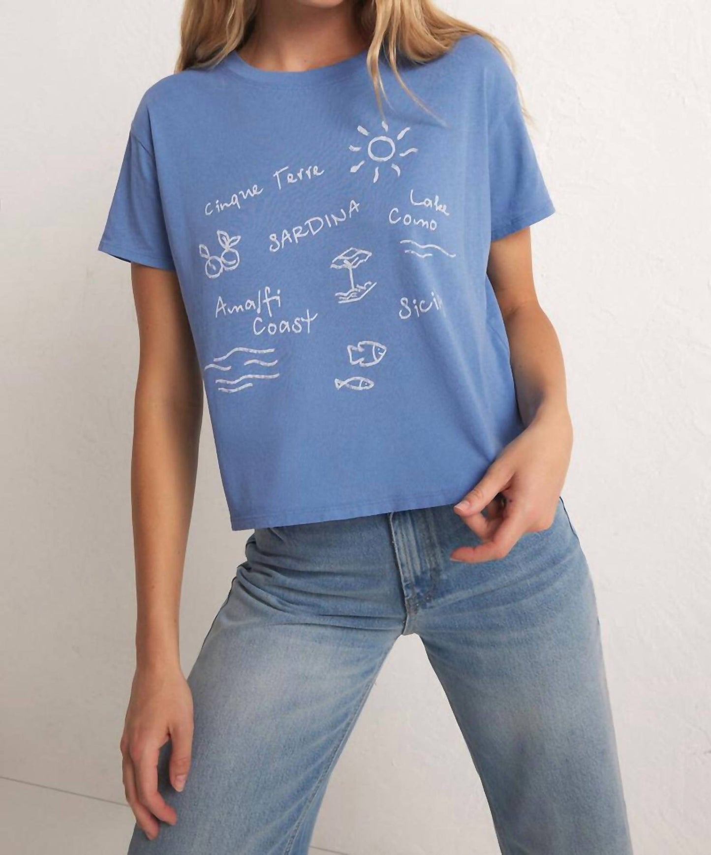 Z Supply - Go To Destination Tee