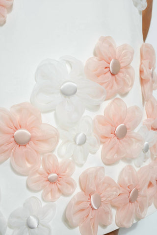 Ina - Sleeveless Floral Applique A-line Dress