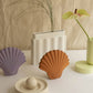 Los Objetos Decorativos - Sea Shell Vase