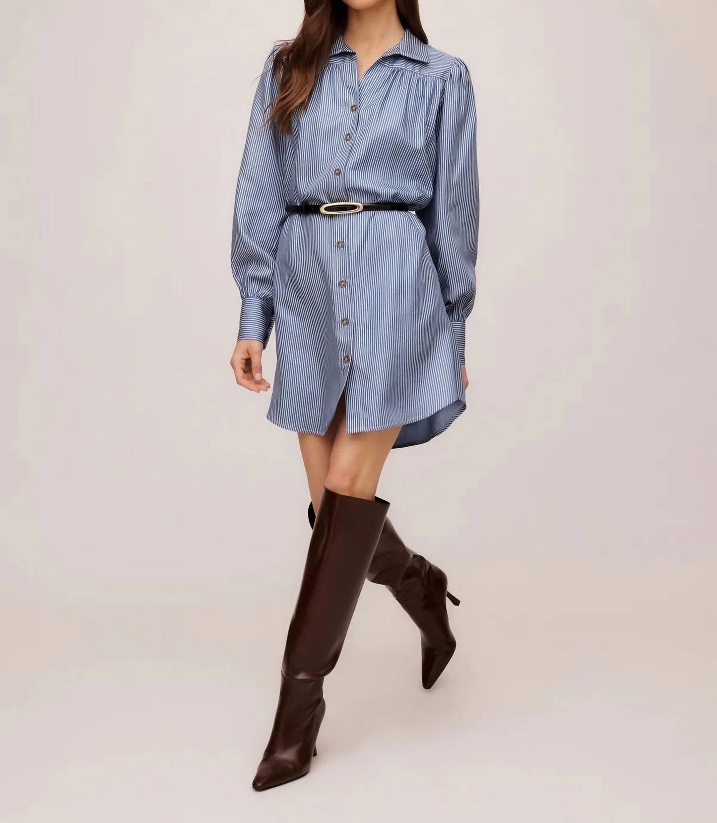 Fifteen Twenty - Natalia Shirt Dress