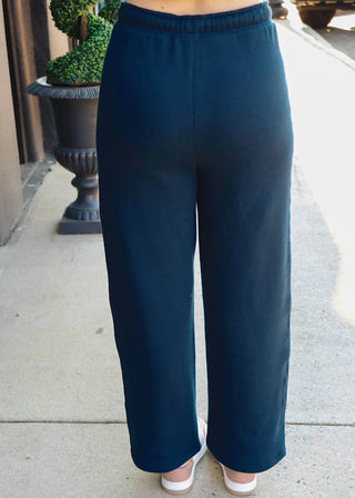 Z Supply - Hype Sweatpants