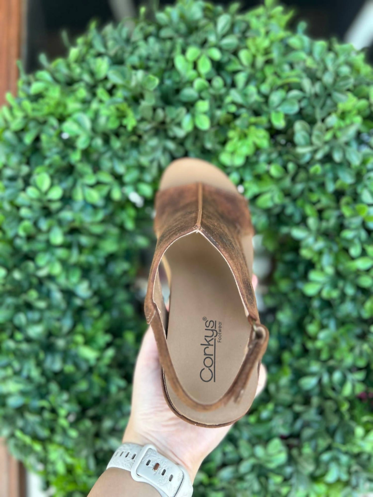 Corkys Footwear - Women's Carley Wedge Sandal