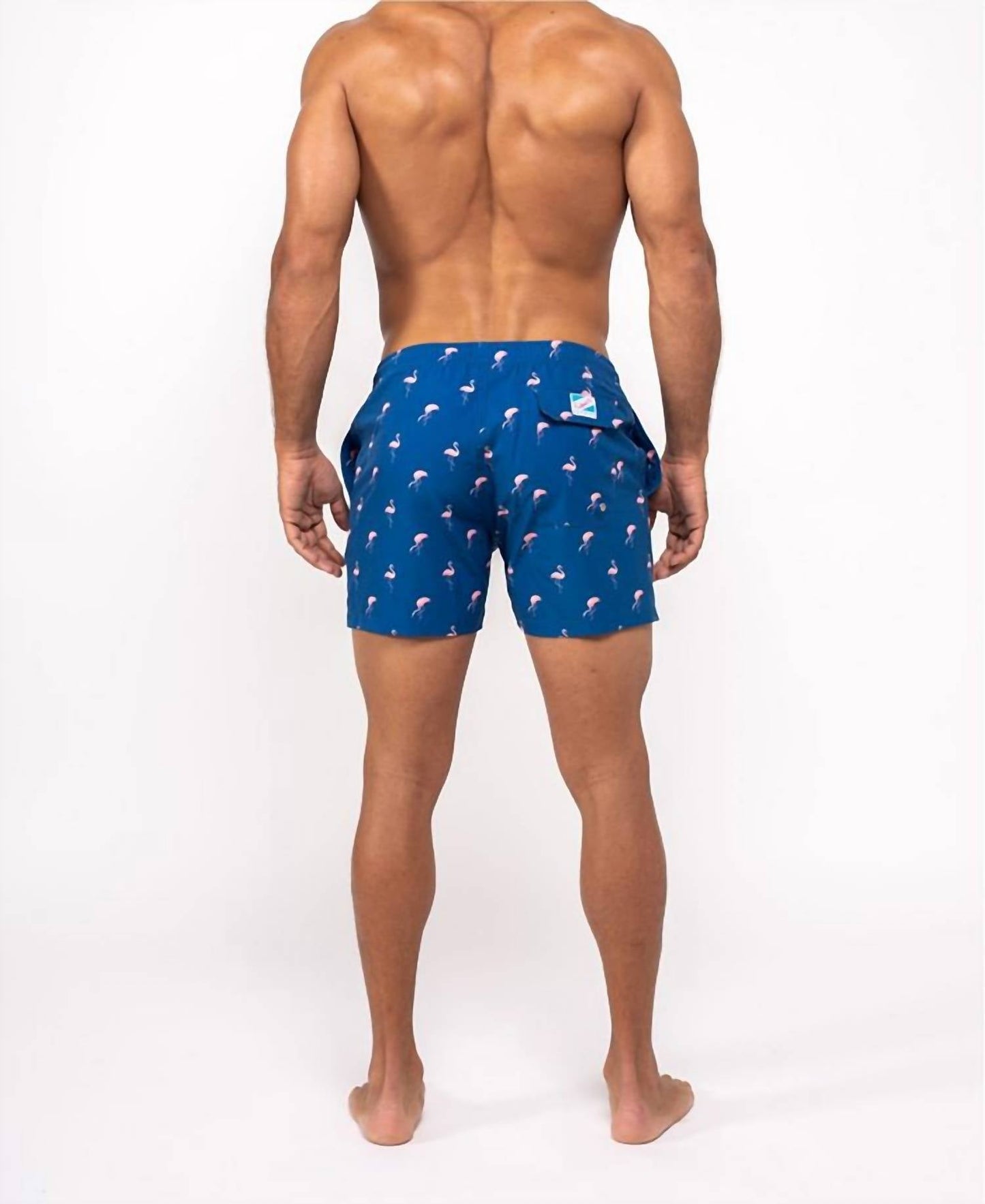 Bermies - Miami Swim Trunk