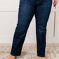 Judy Blue - High Rise Classic Straight Jean