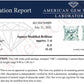 AGS Certified 14k White Gold 1.0 Cttw 4-Prong Set Princess-Cut Solitaire Diamond Push Back Stud Earrings for Women (E-F Color, I1-I2 Clarity)
