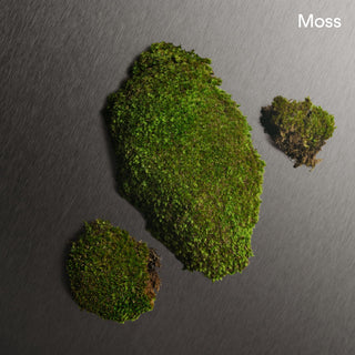 Calvin Klein Eternity All Over Body Spray For Men 5 Oz