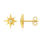 14K Yellow Gold High Polish North Star Diamond Earrings