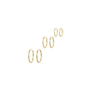 Amy and Annette 14K Gold over Sterling Silver Hoop Earrings Set of 3 Sizes