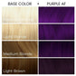 Arctic Fox Semi-Permanent Hair Color Dye Purple 4 fl oz - Imperfect Container