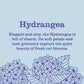 Mrs. Meyer's Clean Day Liquid Hand Soap Hydrangea 12.5 fl oz - New