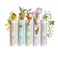 Paul Mitchell Clean Beauty Repair Shampoo 8.5 fl oz - New
