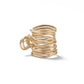 The Hair Edit Gilded Wrap Clip - New