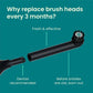 quip Rev Oscillating Brush Head Refill- Black 2pk - Imperfect Box